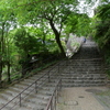 P1015699