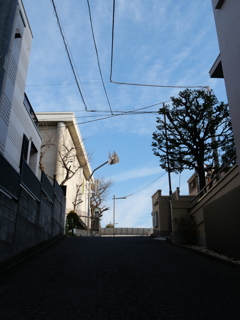 P1000126