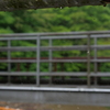 P1015804