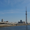 P1011654
