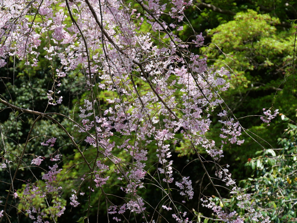 P1014205