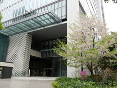 雨宿り