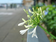 P1039332