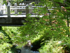 P1014396
