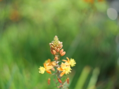 P1015138