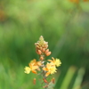 P1015138
