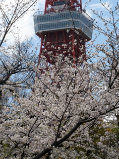 P1013809