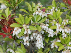 P1014490