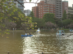 P1015483