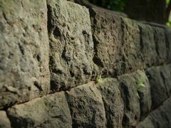 P1015343
