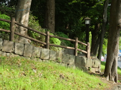 P1015345