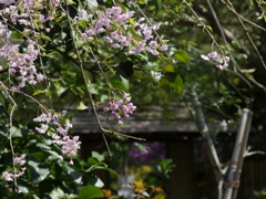 P1014356