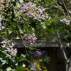 P1014356