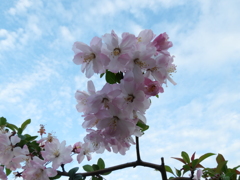 P1014006