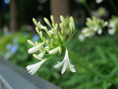 P1039331