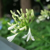 P1039331