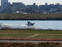 P1001529