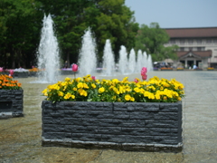P1014914