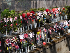 P1013845