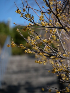 P1001360