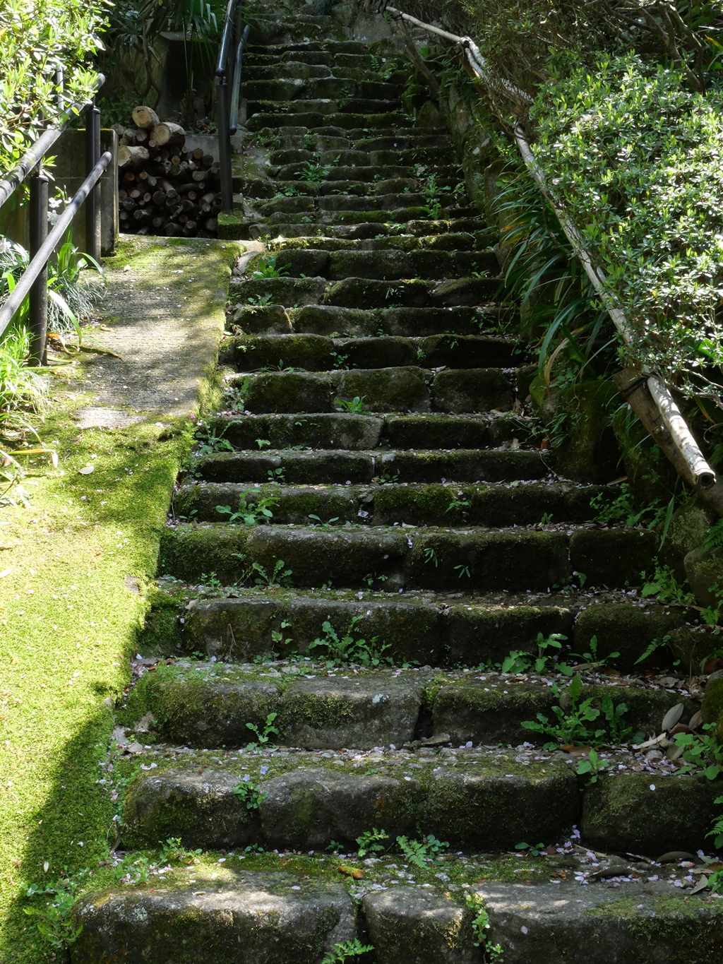 P1014066