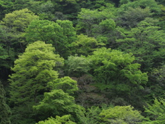 P1015763