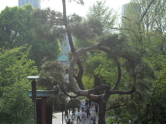 P1015274