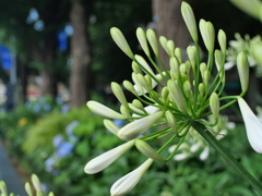P1039334