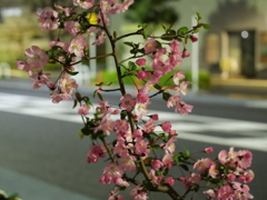 P1013165