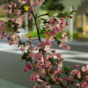 P1013165