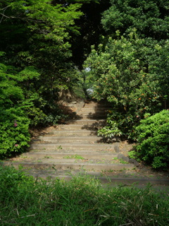 P1015333