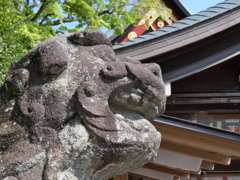 P1014439