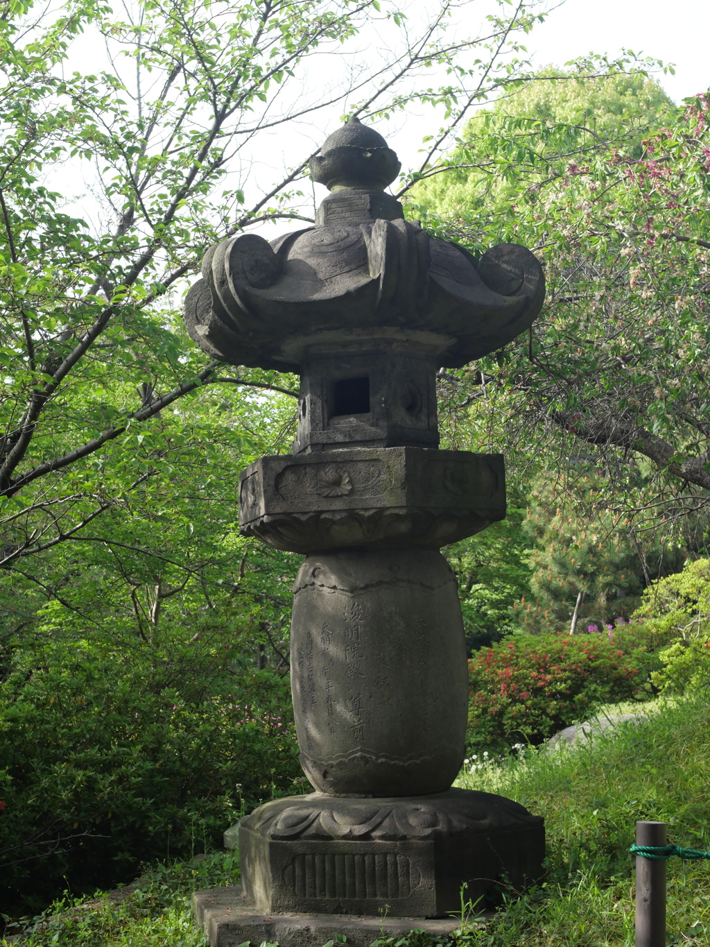 P1015288