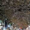 P1014756