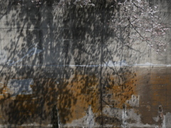 P1013379