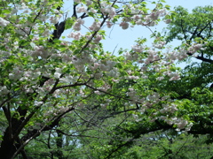 P1015017