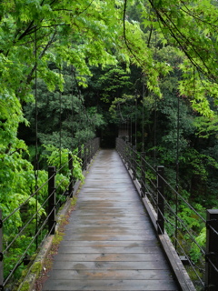 P1015895
