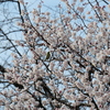 P1000511