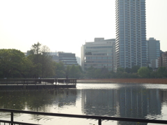 P1015410