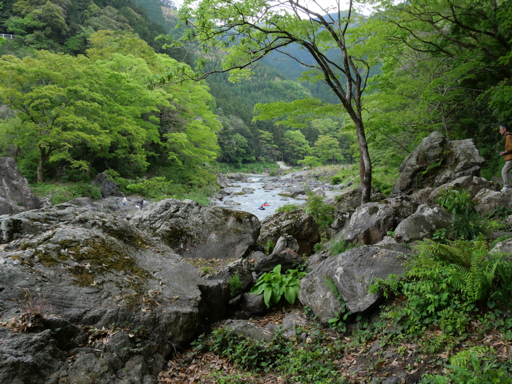 P1015697