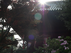 P1015242