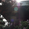 P1015242
