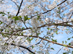 P1013388