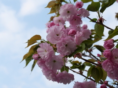 P1014551
