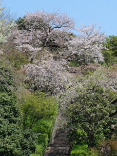 P1014041