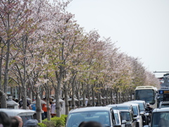 P1014505