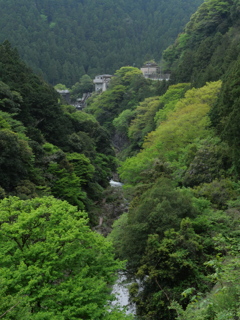 P1015752