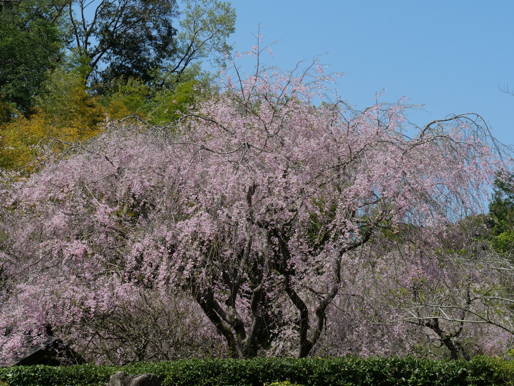 P1014147