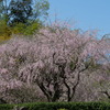 P1014147
