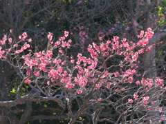 P1001506